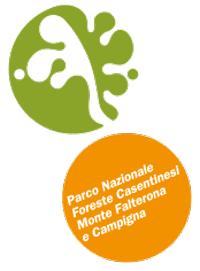 logo Parco Nazionale Foreste Casentinesi Monte Falterona e Campigna