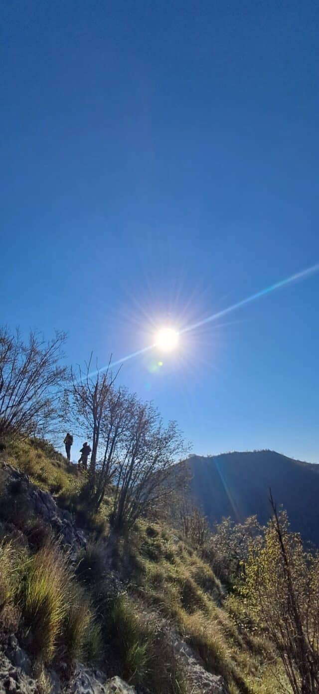 Anello di colonnata (1)