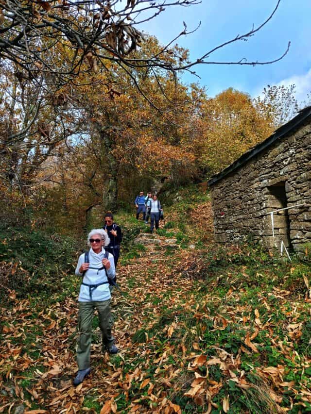 Anello di colonnata (2)