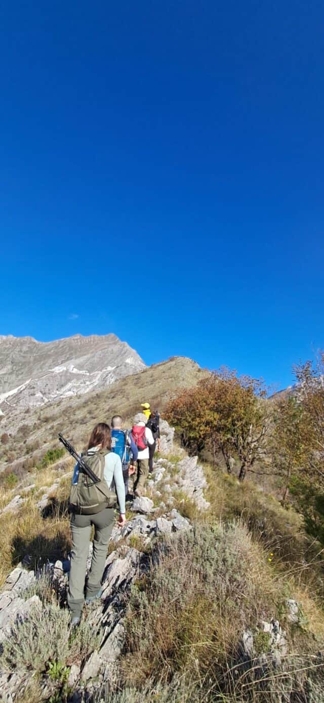 Anello di colonnata (3)