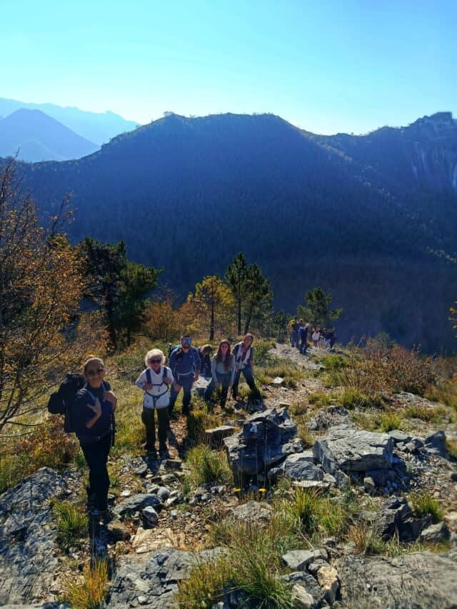 Anello di colonnata (5)