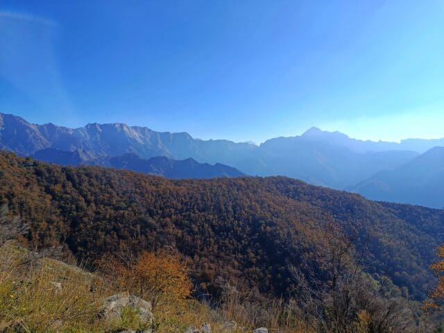 Anello di colonnata (6)