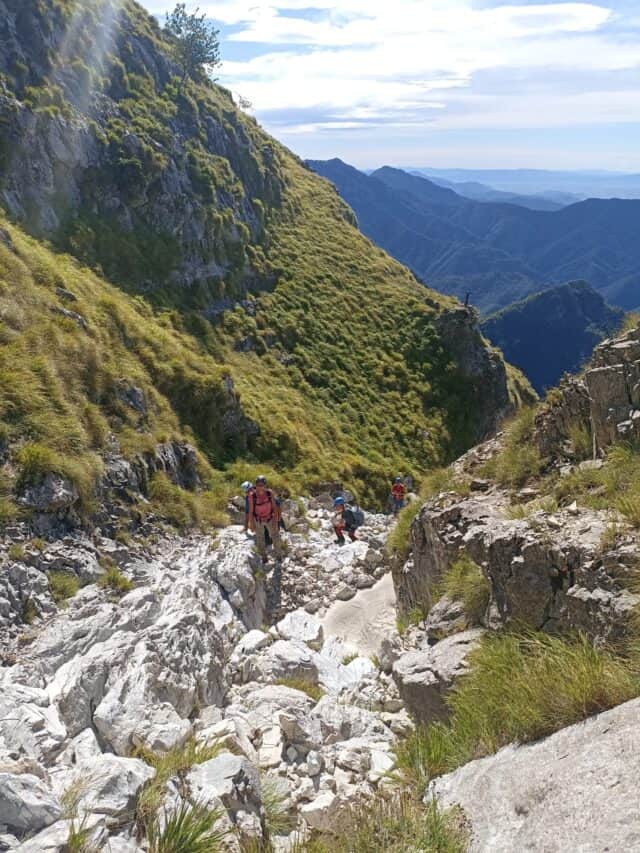 Lizza Dei Tavolini (4)