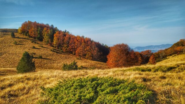 Anello Sagro Campocecina