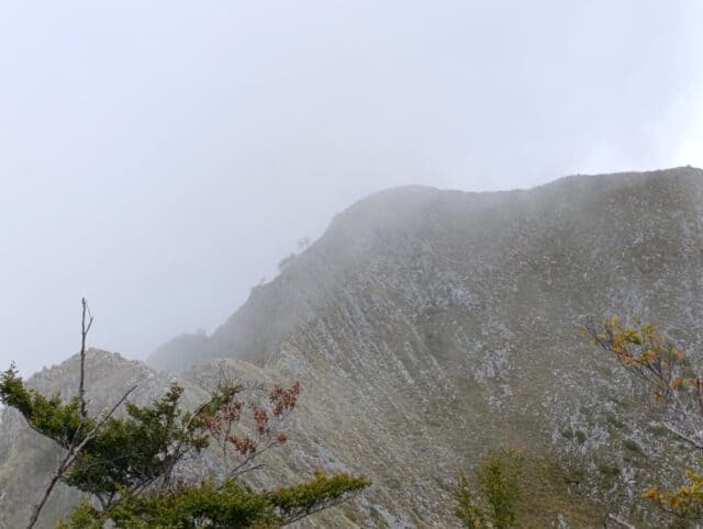 Corso Approfondimento Ambientale Sulle Alpi Apuane (5)