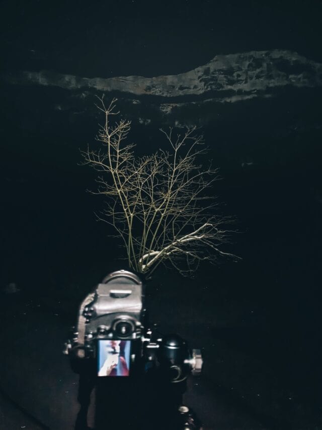 Corso Escursionismo Fotografico Invernale Su Neve (2)