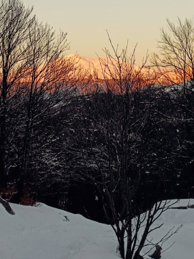 Corso Escursionismo Fotografico Invernale Su Neve (9)