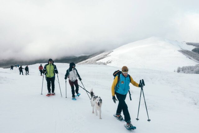 Ciaspolata Anello dell'asinara zona Cavalbianco 03 01 2025 (1)