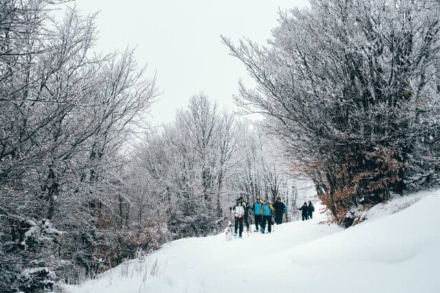 Ciaspolata Anello dell'asinara zona Cavalbianco 03 01 2025 (8)
