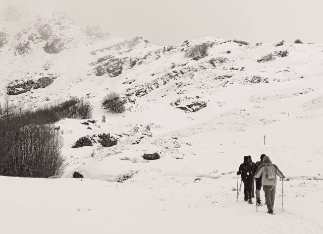 Prato spilla 24 01 2026 (2)