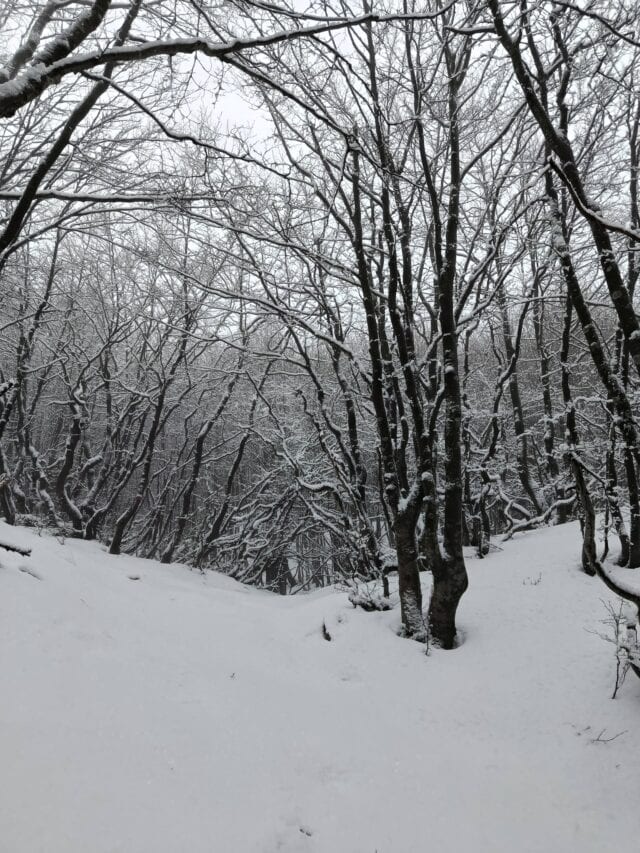 Prato spilla 24 01 2026 (5)