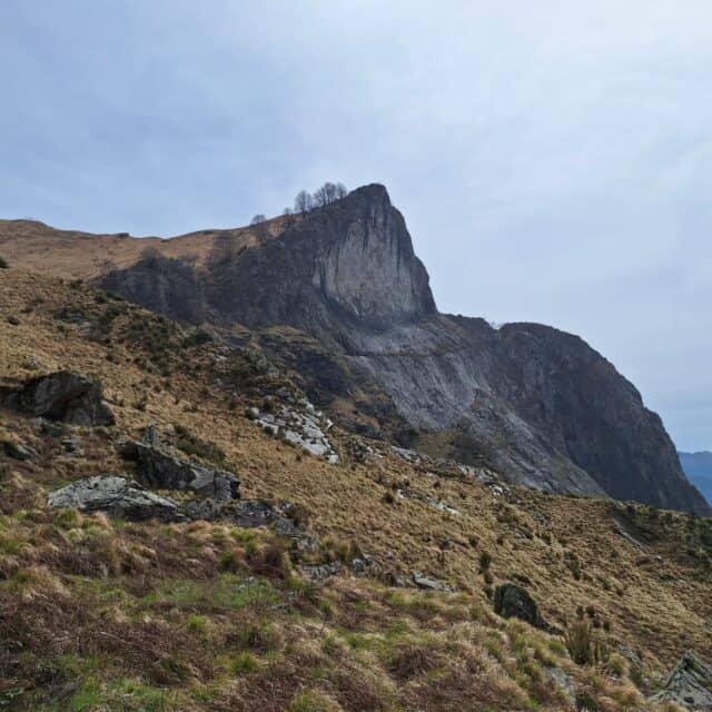 Picco di navola 12 04 2025 (1)
