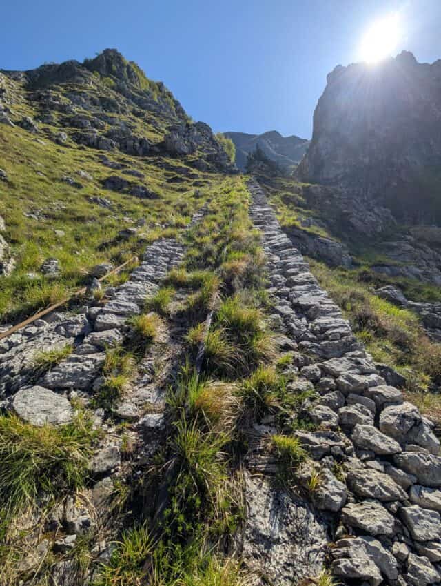 Monorotaia 01052025 (5)