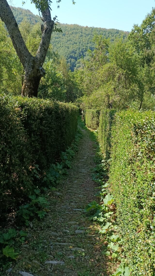 Agoto oltre le nuvole in tenda sulle apuane (15)