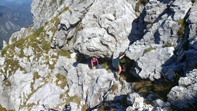 Grondilice pizzo d'uccello cengia garnerone (1)