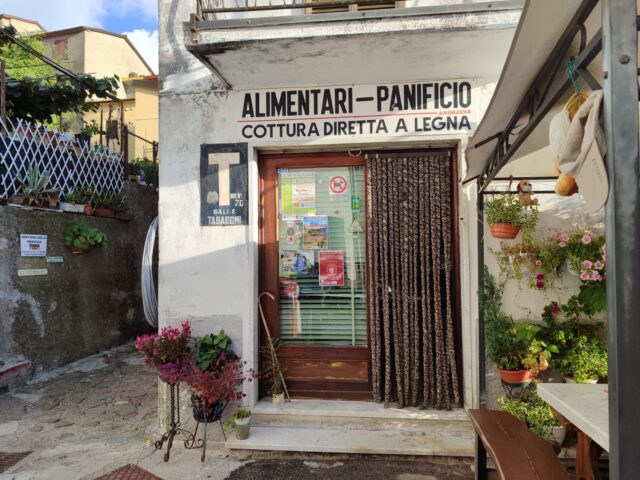 Grondilice pizzo d'uccello cengia garnerone (14)