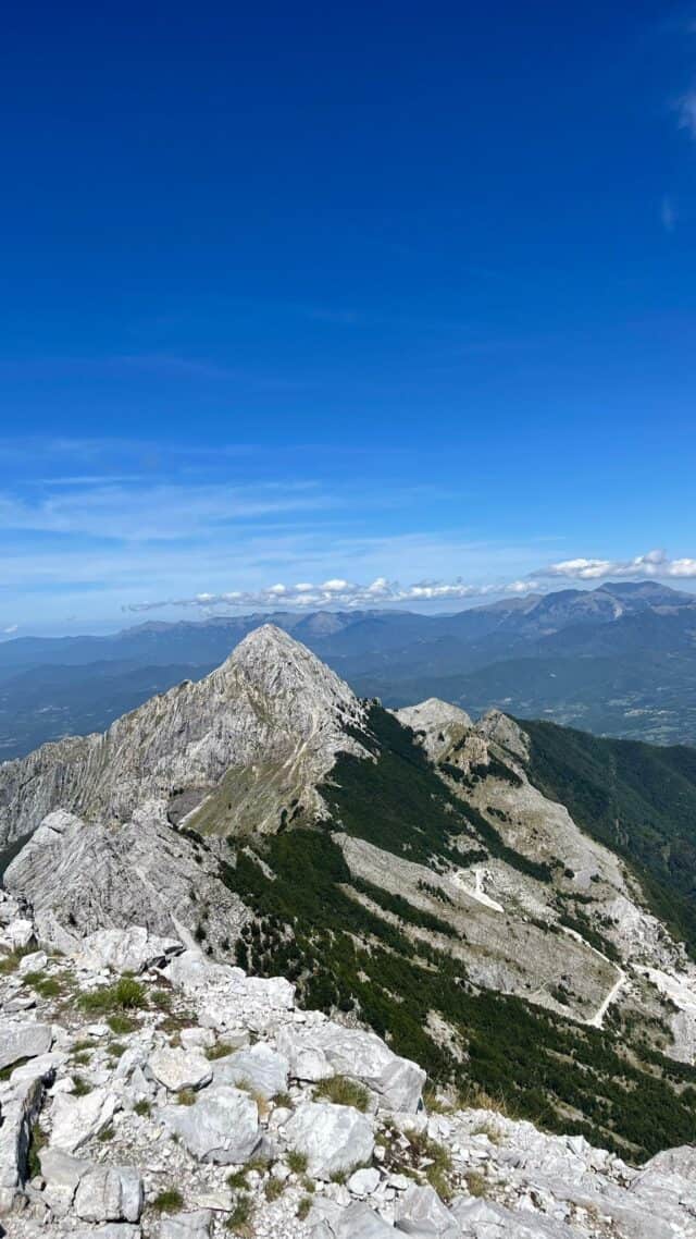 Grondilice pizzo d'uccello cengia garnerone (15)
