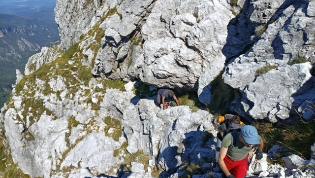 Grondilice pizzo d'uccello cengia garnerone (16)