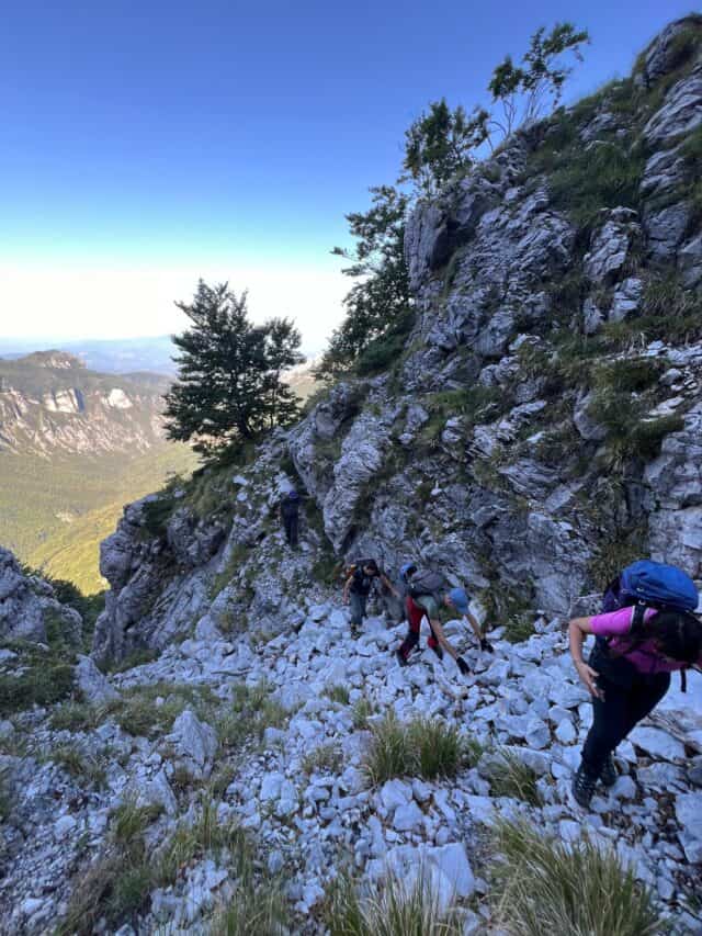 Grondilice pizzo d'uccello cengia garnerone (21)