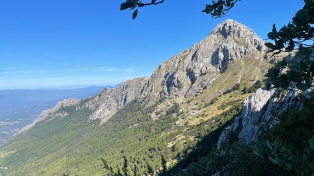 Grondilice pizzo d'uccello cengia garnerone (4)