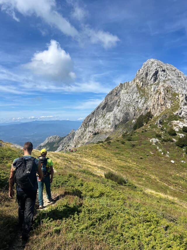 Grondilice pizzo d'uccello cengia garnerone (7)