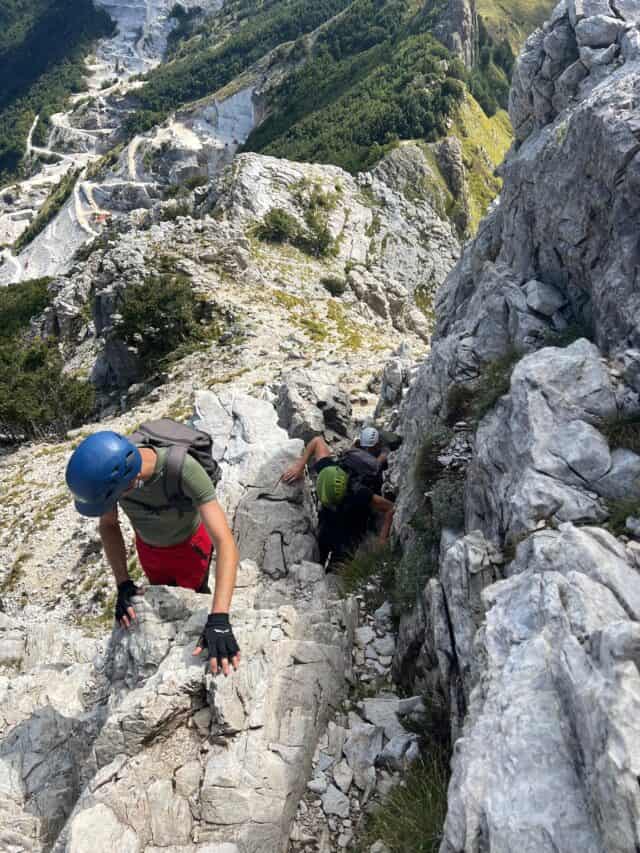 Grondilice pizzo d'uccello cengia garnerone (9)
