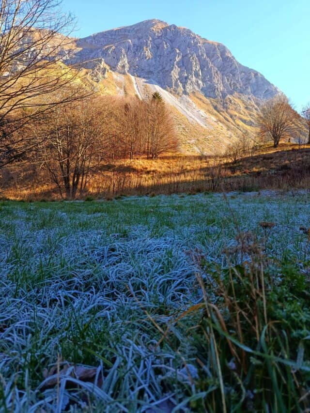 Long trek 09 11 2025 (2)