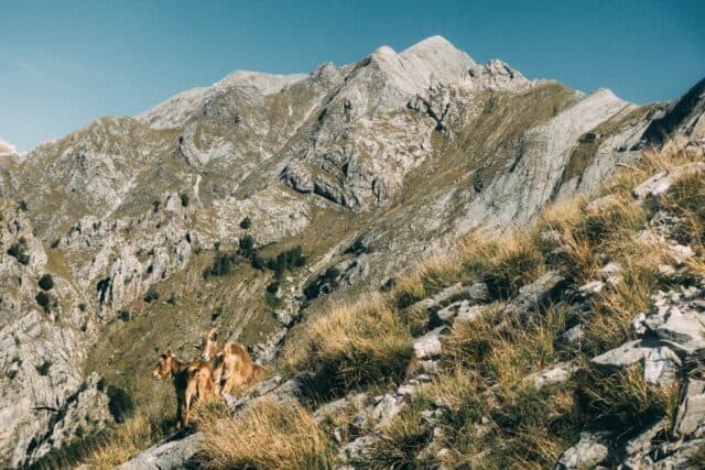 Monte sella via monorotaia 20 09 2025 (10)