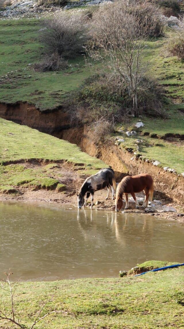 Anello dal Matanna 29 11 2025 (1)