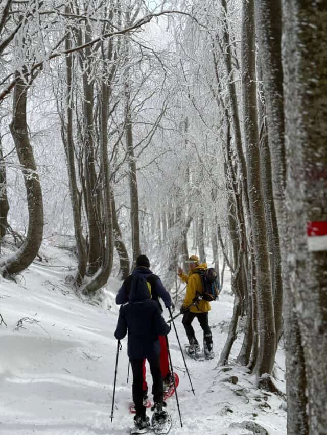 Ciaspole di Natale Casone di Profecchia 26 12 2025 (5)