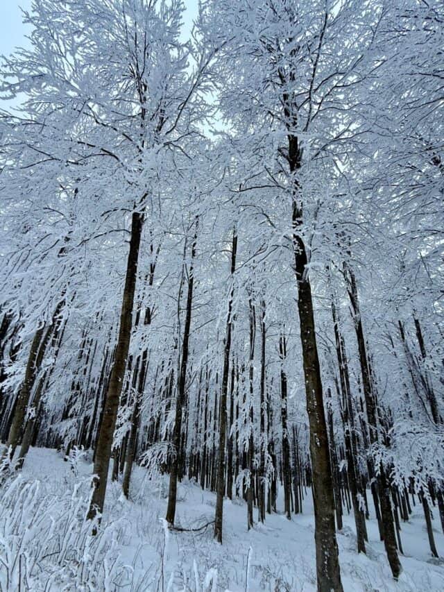 Anello del Diavolo con le ciaspole 05 01 2026 (1)