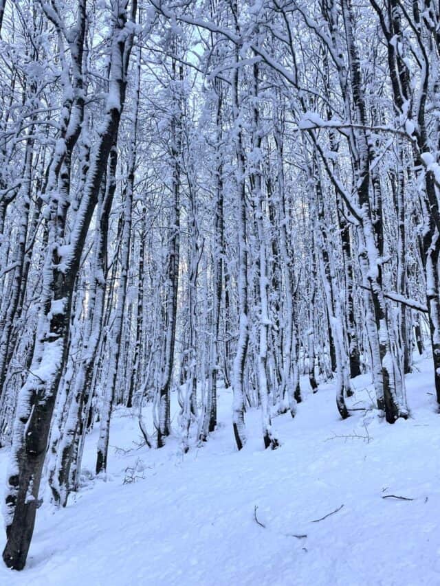 Cerreto laghi vallone dell'inferno 27 12 2025 (8)