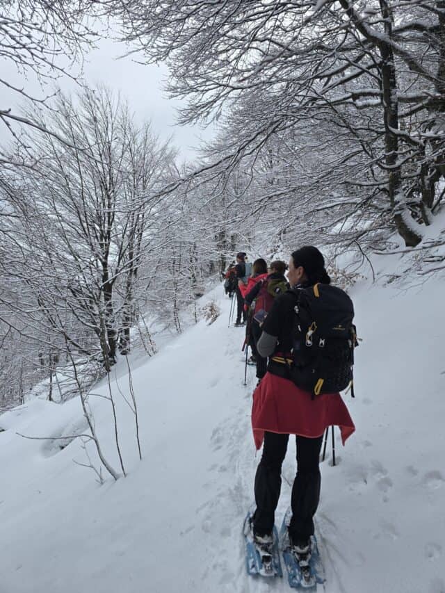 Ciaspolata Passo del Lagastrello Sella del monte Acuto 25 01 2026 (4)