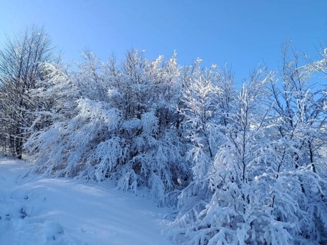 Ciaspolata Prato Spilla 28 12 2025 (12)