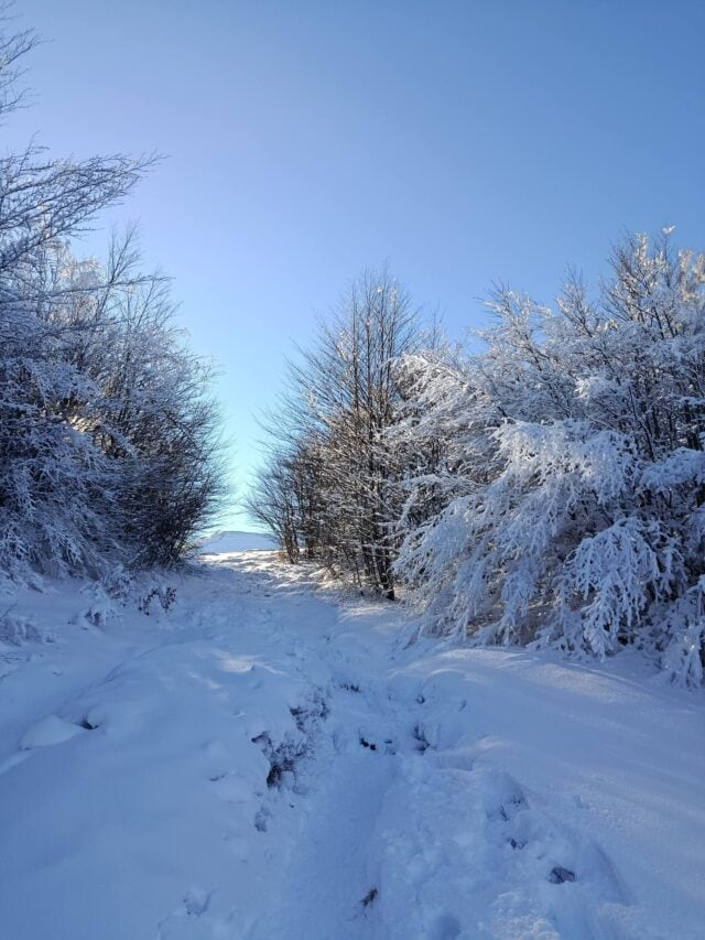 Ciaspolata Prato Spilla 28 12 2025 (4)