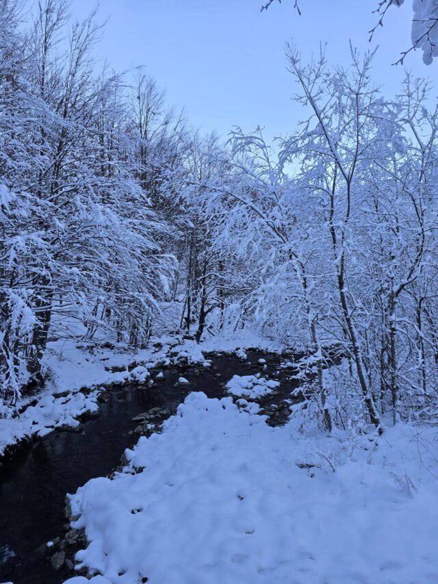 Ciaspolata Prato Spilla 28 12 2025 (7)