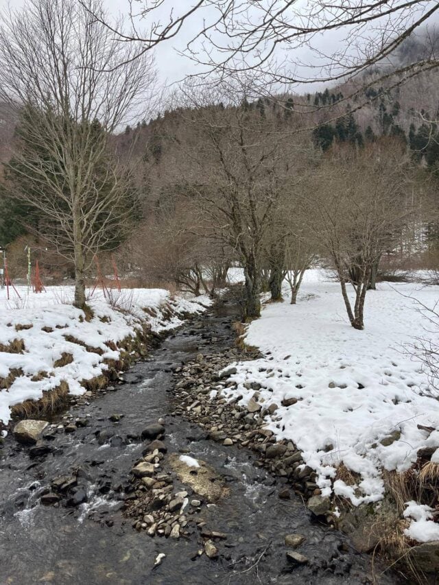Ciaspolata al lago santo Parmense 04 01 2026 (4)
