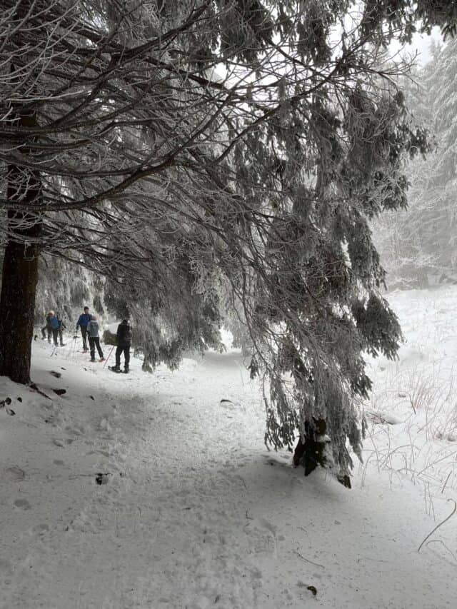 Ciaspolata al lago santo Parmense 04 01 2026 (9)