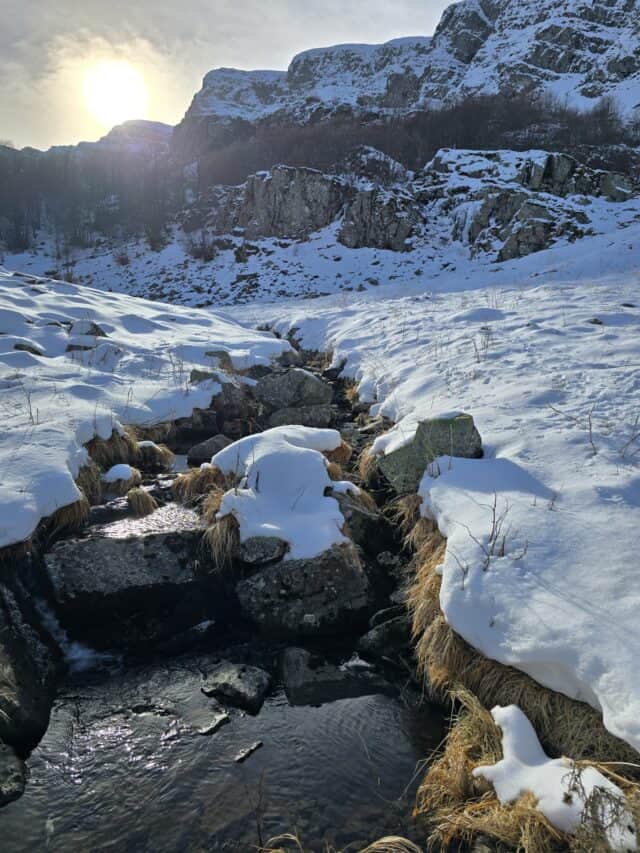 Ciaspolata finestra del rondinaio (7)