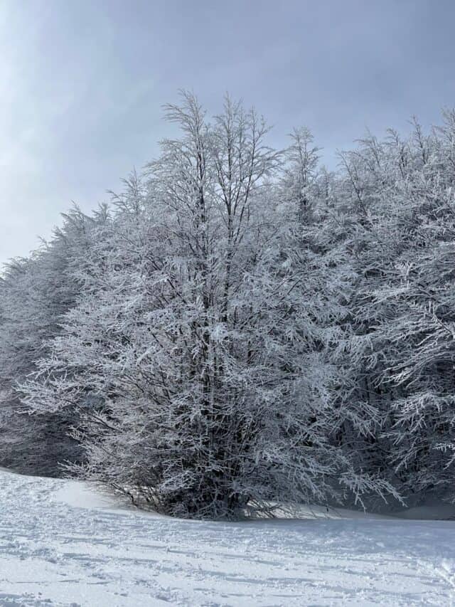 Lago santo finestra del rondinaio 01 02 2026 (2)
