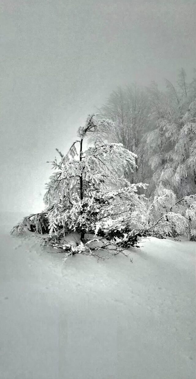 San pellegrino in alpe 02 02 2026 (7)