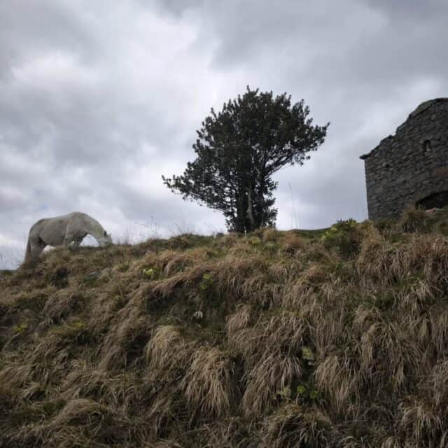 Anello delle Sentinelle 22 03 2026 (2)