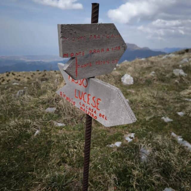 Anello delle Sentinelle 22 03 2026 (3)