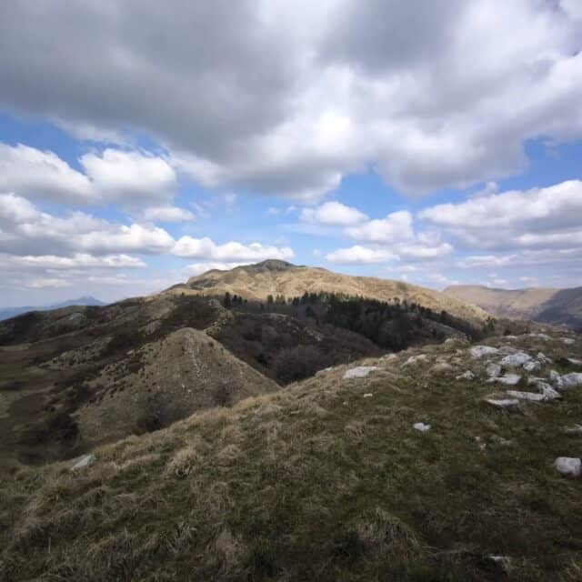 Anello delle Sentinelle 22 03 2026 (4)