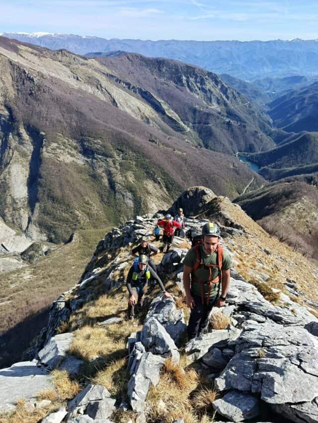 Freddone 06 05 2026 (1)