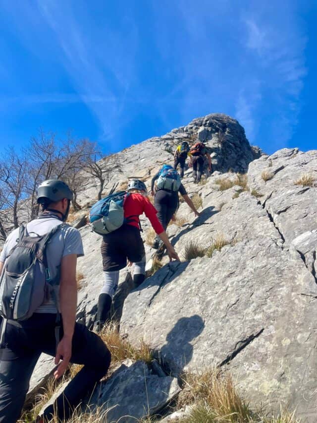 Freddone 06 05 2026 (2)