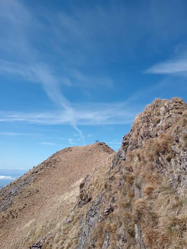 Freddone 06 05 2026 (5)