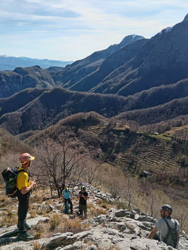 Freddone 06 05 2026 (6)