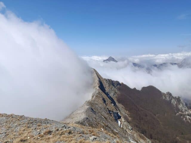 Lizza dei Ferruzzini 11 04 2026 (8)